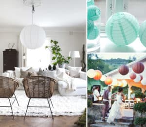 Pachia-Rislampe-Bild